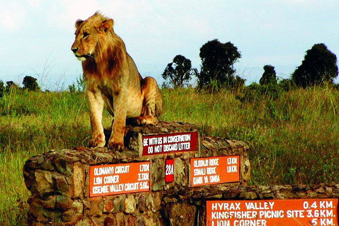Nairobi Airport Layover Half Day Tour to Nairobi National Park - Cancellation and Booking
