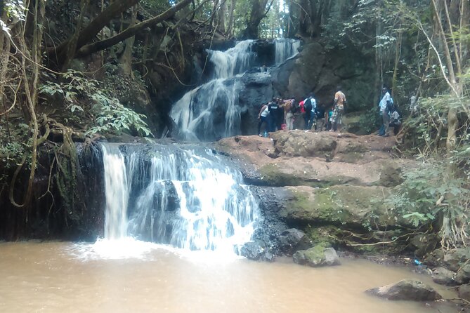 Nairobi Day Tour to Karura Forest Hike, Trail Bike & Nature Walk - Tour Logistics and Details