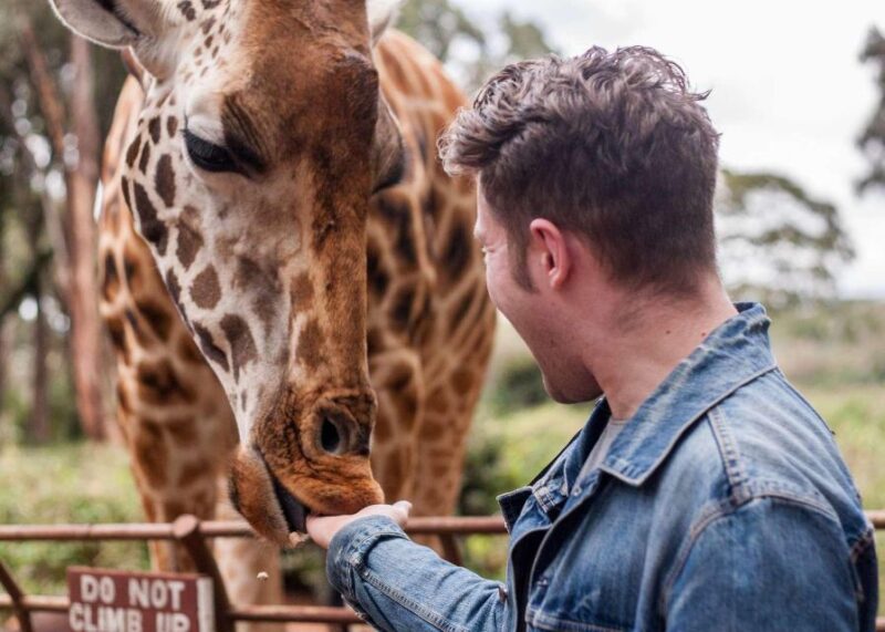 Nairobi National Park, Baby Elephant & Giraffe Center Tour - Tour Overview