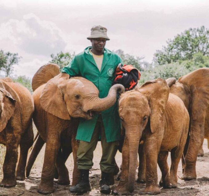 Nairobi National Park, Baby Elephant & Giraffe Center Tour - Transportation and Accessibility