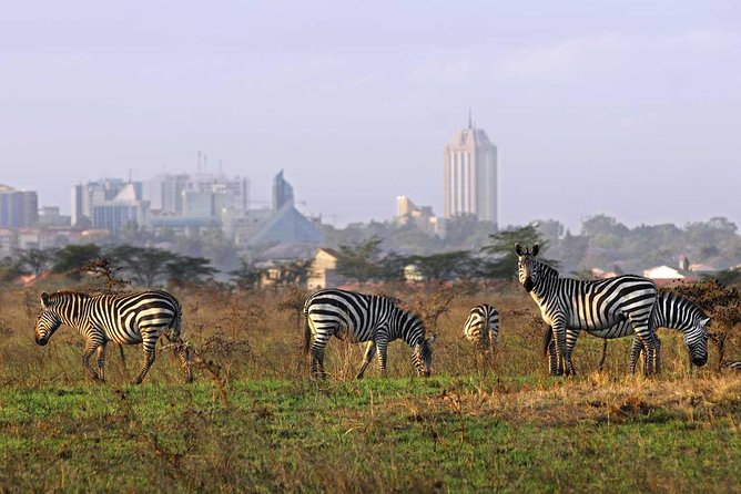 Nairobi National Park, Baby Elephant Orphanage and Giraffe Center - Baby Elephant Orphanage Experience