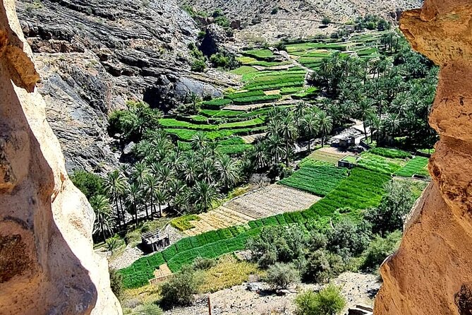 Nakhal Fort-Nakhal Hotspring-Wadi Bani Awf-Bilad Sayt - Private Full Day Tour - Inclusions and Amenities