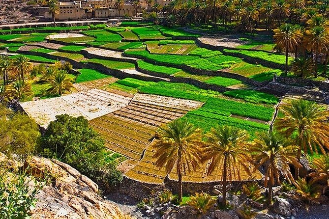 Nakhal Fort-Nakhal Hotspring-Wadi Bani Awf-Bilad Sayt - Private Full Day Tour - Participation Guidelines