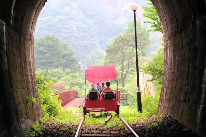 Nami Island & Garden of Morning Calm & Gangchon Railbike Tour - Itinerary Highlights