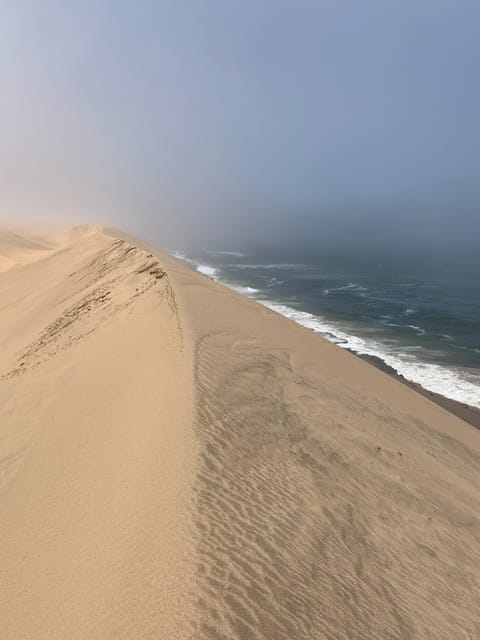Namibia; Classic Sandwich Harbour Tour - Key Points