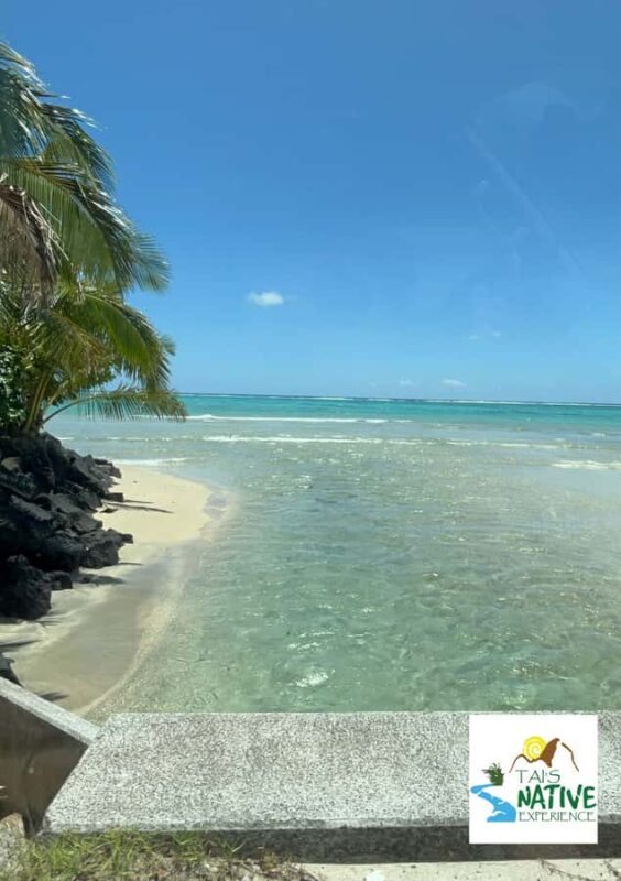 Namua Turtle Island Tour with Snorkeling - Key Points