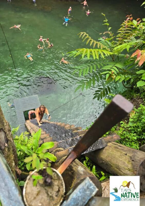 Namua Turtle Island Tour with Snorkeling - Authentic Experiences in Samoa