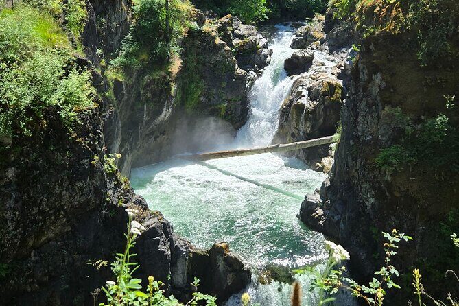 Nanaimo: Cathedral Grove, Waterfalls and Animal Sanctuary - An Honest Look at the Tour Experience