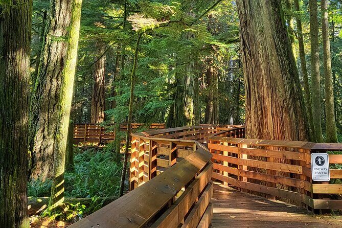 Nanaimo: Cathedral Grove, Waterfalls and Animal Sanctuary - Insights from Reviews