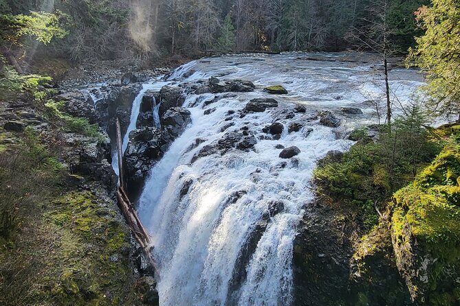 Nanaimo: Cathedral Grove, Waterfalls and Animal Sanctuary - Frequently Asked Questions