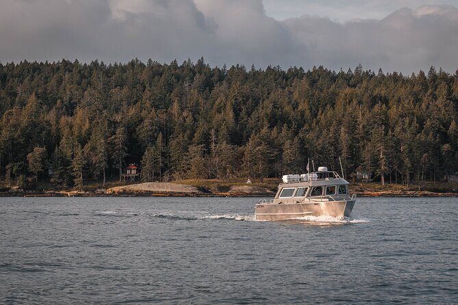 Nanaimo Private Whale Watching - Nanaimo Private Whale Watching: An In-Depth Look at a Personalized Marine Adventure