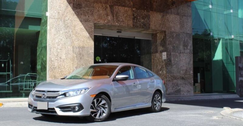 Nanjing Lukou Int Airport (NKG): Private Transfer to Nanjing - Vehicle and Driver Information
