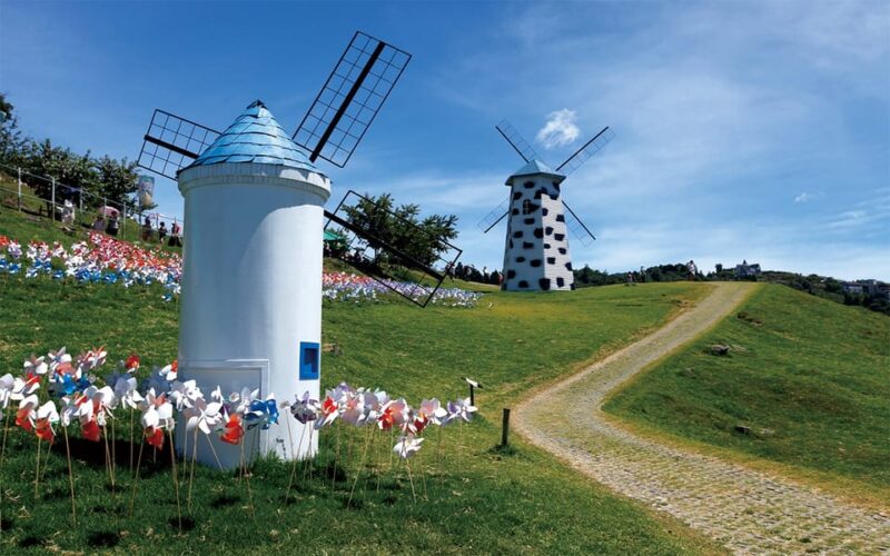 Nantou: Qingjing Farm Green Green Grassland Ticket & Combos - Ticket Pricing and Options