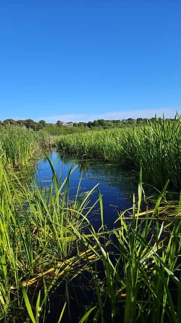 Nantucket: Historical Landmarks Sightseeing Bus Tour - Key Points
