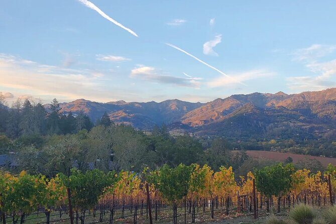 Napa and Sonoma Private Transportation - The Experience in Detail: What You Can Expect