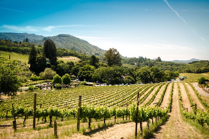 Napa and Sonoma Wine and Food Experience (Napa Pickup) - Tasting Fees and Costs