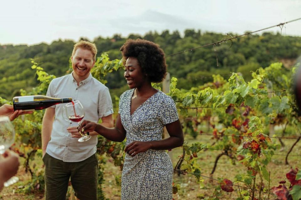 Napa: Half-Day Wine Tour in the California Wine Region - Key Points