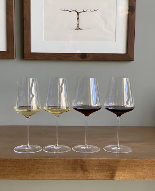 Napa: Intro to Wine Tasting With Napa Sommelière - Diverse Selection of Wines
