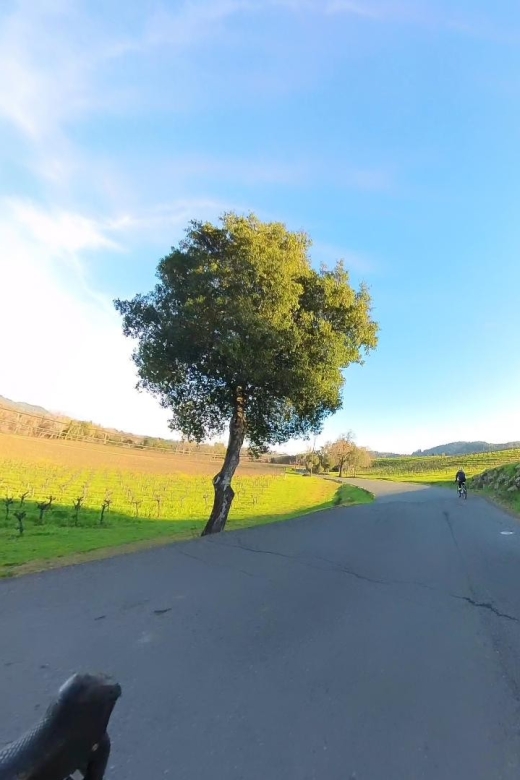 Napa/Sonoma: Guided Tour for Cycling Enthusiasts - Key Points
