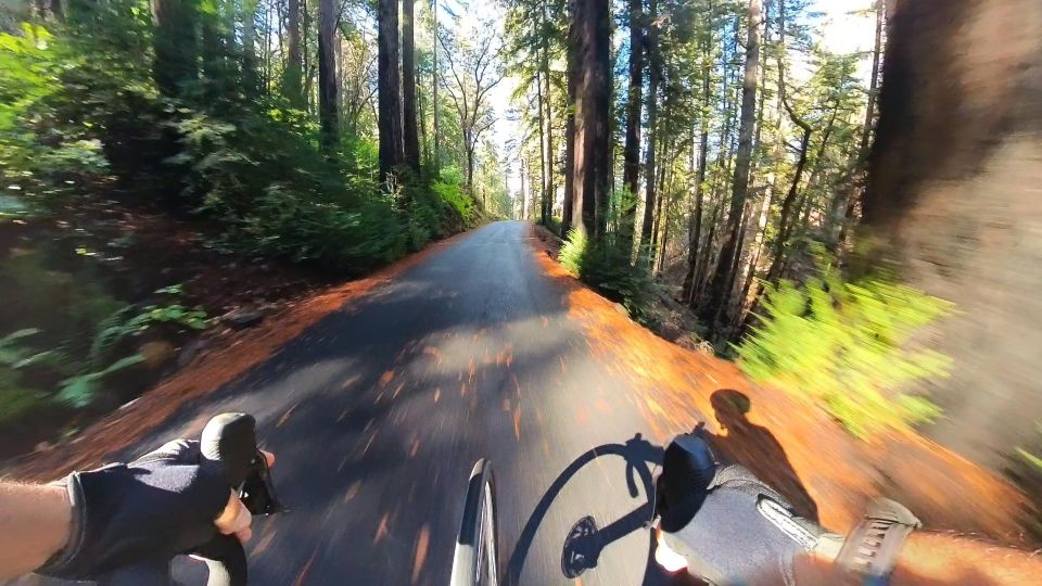 Napa/Sonoma: Guided Tour for Cycling Enthusiasts - Pickup and Drop-off Locations