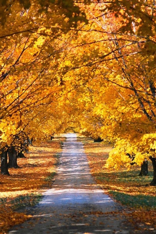 Napa & Sonoma Valley : Custom Wine Tour - Reservation Details