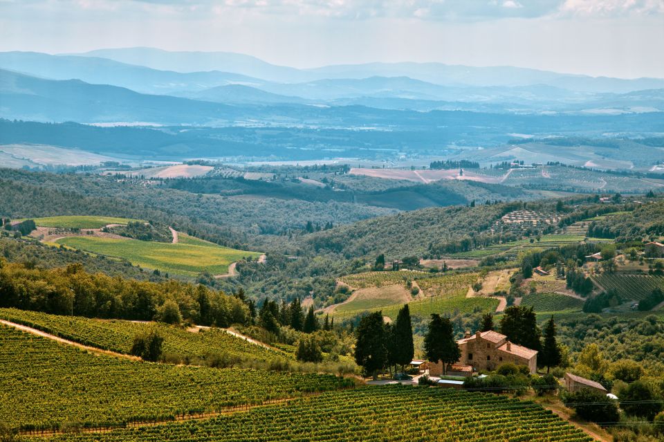 Napa Valley: Airplane Napa Valley Tour - Key Points