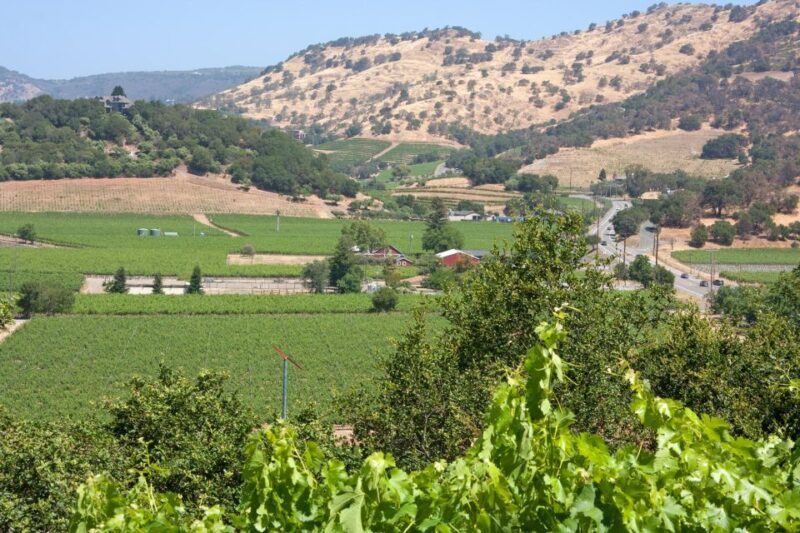 Napa Valley: Driver & Guide Service California wine country - Who Is This Tour Best For?