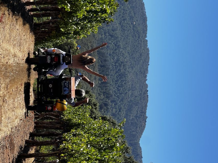 Napa Valley: Napa Valley Guided Sidecar Tour With 3 Wineries - Small Group Adventure
