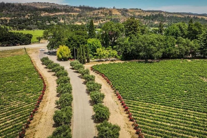 Napa Valley: Scenic E-Bike Tour (No Wineries) - Key Points