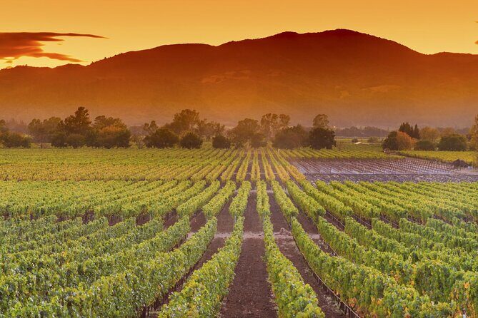 Napa Valley Wine Safari Tour Explore Wine Country's Hidden Gems - Final Thoughts: Is This Tour Right for You?