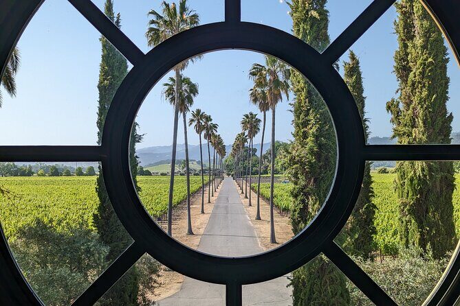Napa Wine Tour from Sacramento - Who Will Get the Most Out of This Tour?