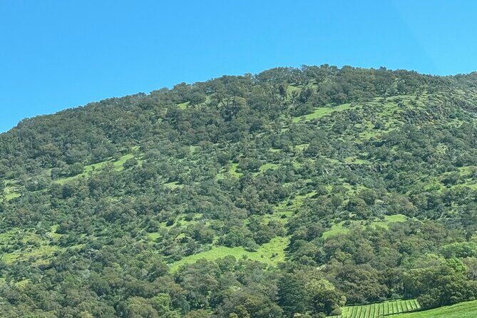 Napa Wine Tours - Who Will Love This Tour?