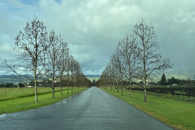 Napa Wine Tours - The Sum Up