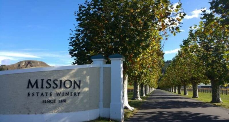 Napier: Afternoon Winery Tour Tasting at 3 Great Wineries - Key Points