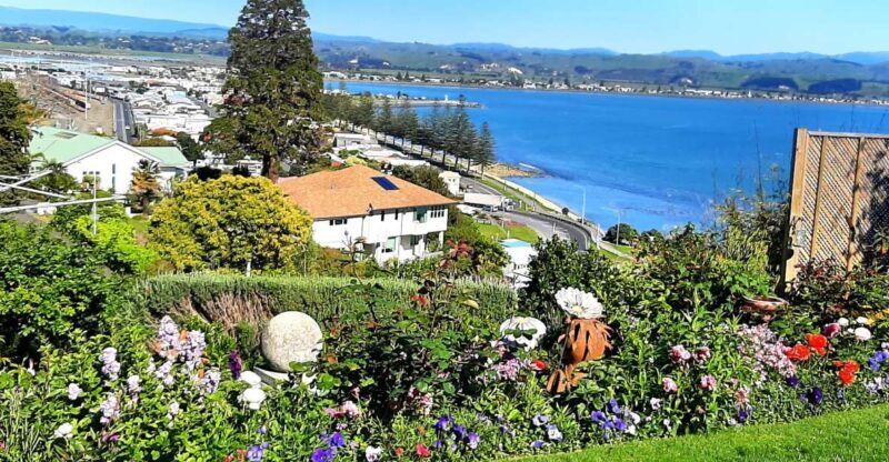 Napier: Art-Deco + Te Mata Peak+ Garden Walk + Wine Tasting - Who Would Love This Tour?