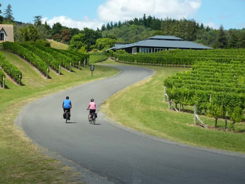 Napier: Cape Coast Winery Tour on E-Bikes - The Sum Up: Who Should Consider This Tour?