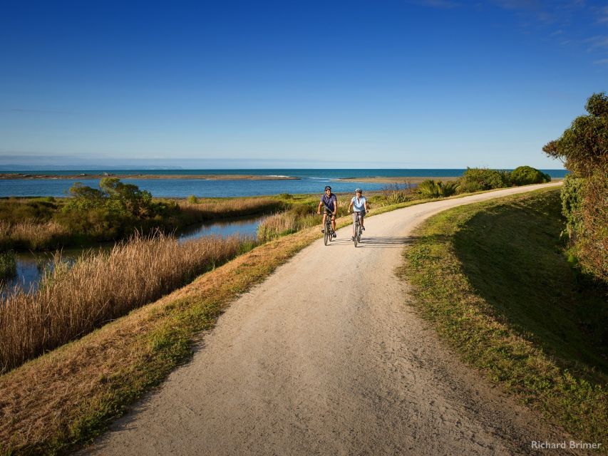 Napier: Cape Coast Winery Tour on Pedal or E-Bikes - Key Points