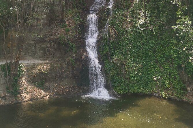 Napier Discovery Tour - Exploring the Itinerary in Detail