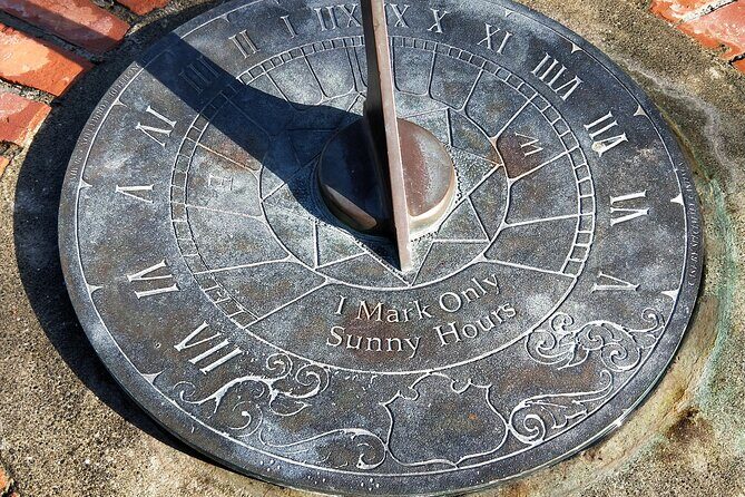 Napier Discovery Tour - Is the Napier Discovery Tour Worth It?