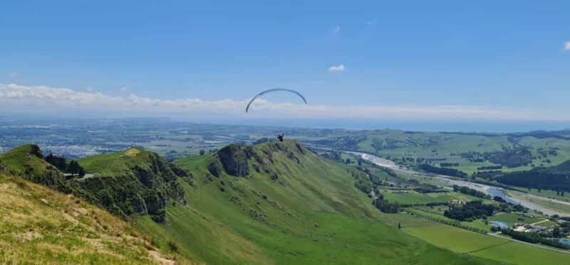 Napier: Highlights & Tour Exploring the Best of this Region - Ahuriri and the Old Harbour: Local Flavors and History