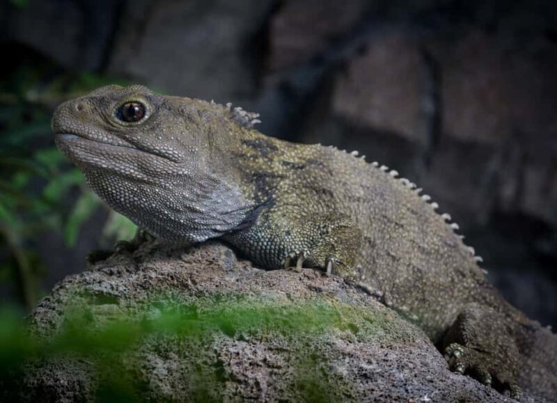 Napier: National Aquarium of New Zealand General Admission - Accessibility and Practicalities