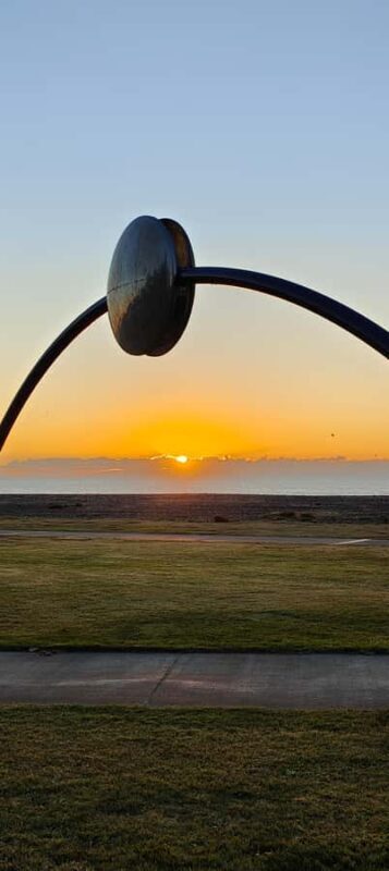 Napier: Shore Excursion with Wine Tasting and Platter - Key Points