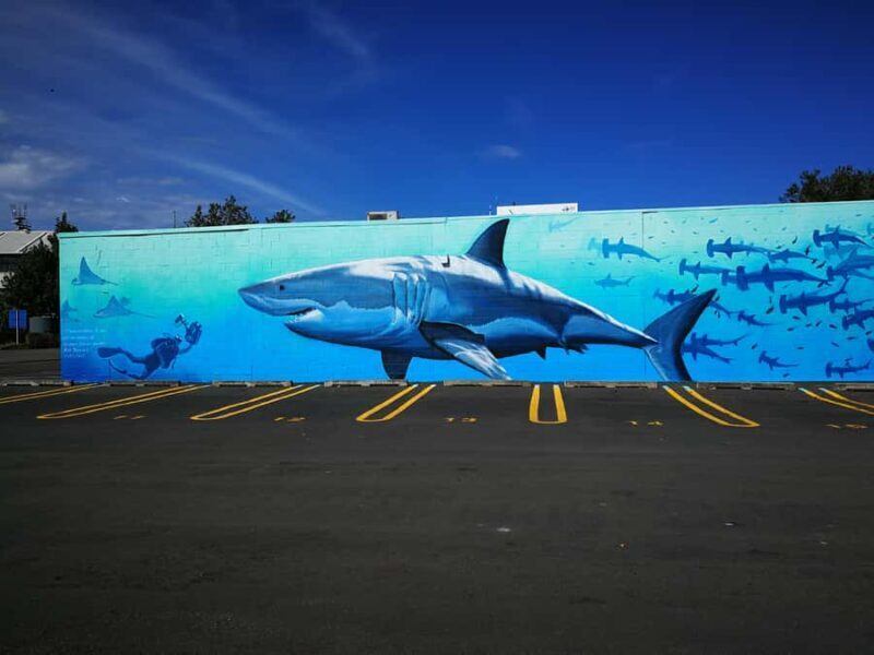 Napier: Shore Excursion with Wine Tasting and Platter - Transportation and Logistics