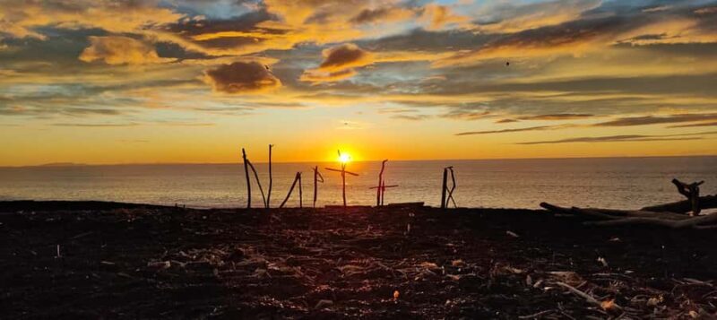 Napier: Shore Excursion with Wine Tasting and Platter - The Value of This Experience