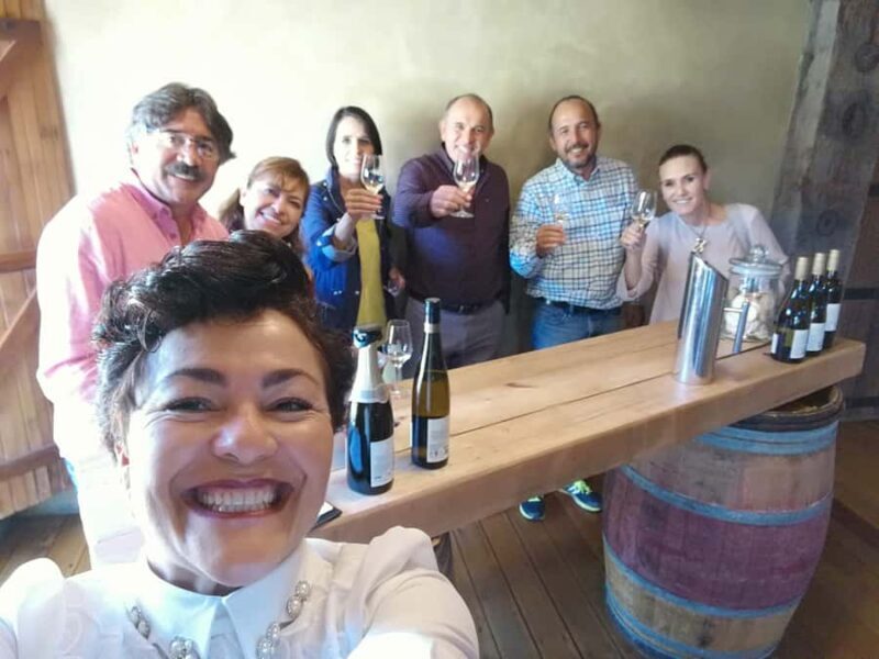 Napier: Shore Excursion with Wine Tasting and Platter - Final Thoughts