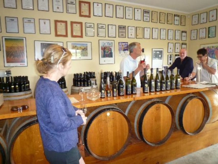 Napier: Wine and Gin Tasting Tour With Lunch - Customer Reviews and Testimonials