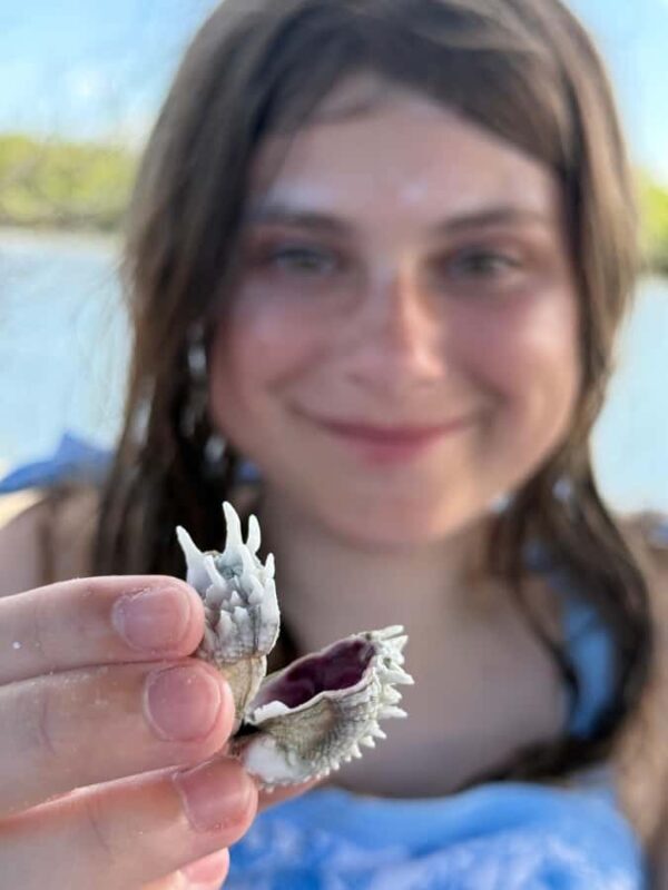 Naples: 3 Hour Keewaydin Island Shelling - FAQs