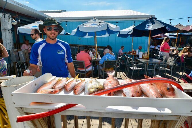 Naples 6 hour Split Charter - Price and Value