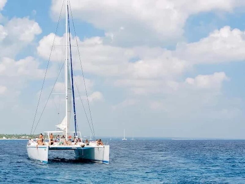 Naples: Catamaran Cruises with Wildlife Views - An In-Depth Look at the Naples Catamaran Experience
