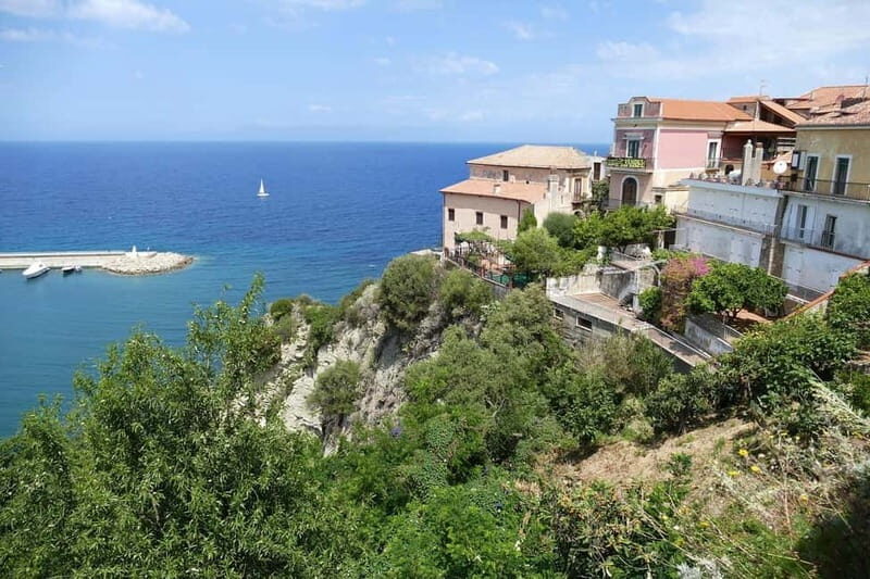 Naples cruises: Cilento Guided Tour with Mozzarella Tasting - The Experience and Overall Value